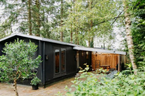 Tiny Cabin Mae op de Veluwe